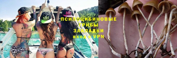 Альфа ПВП Богородск