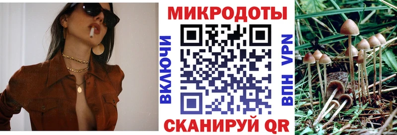 Галлюциногенные грибы Psilocybe  Купить закладки  Надым 
